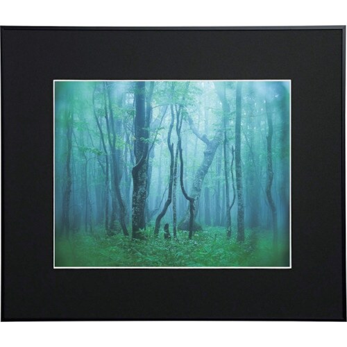 Kenko 1250132 アルミ額縁 ギャラリー