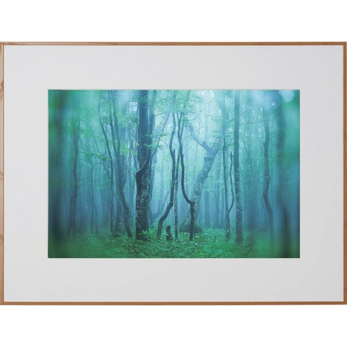 Kenko 1250161 アルミ額縁 ギャラリー