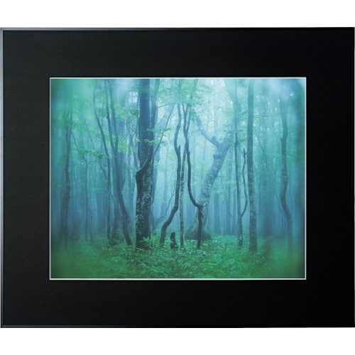 Kenko 1250133 アルミ額縁 ギャラリー