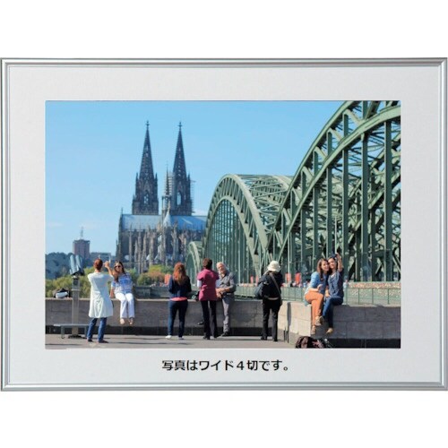 Kenko 1250200 アルミ額縁 パチット