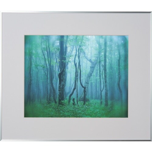 Kenko 1250144 アルミ額縁 ギャラリー