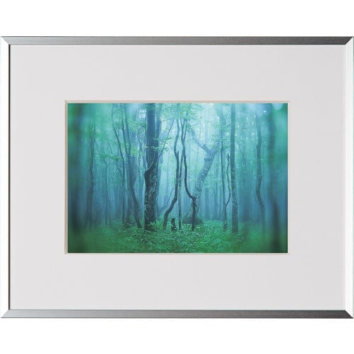 Kenko 1250139 アルミ額縁 ギャラリー