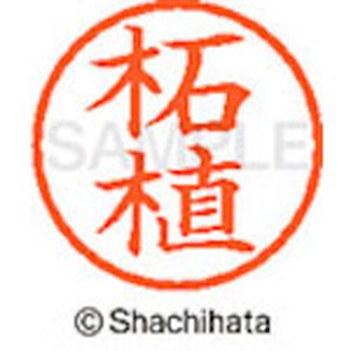 シヤチハタ ネーム6 既製 柘植