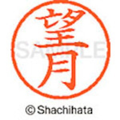 シヤチハタ ネーム6 既製 望月