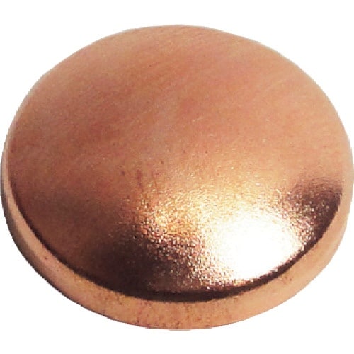 ダンドリビス ビスキャップ いたずら防止キャップ1