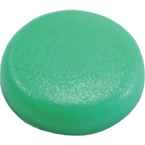 ダンドリビス ダンドリ Wキャップ W721 若竹