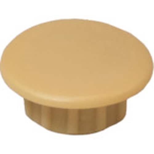 ダンドリビス 穴キャップ(10mm)ナチュラルC