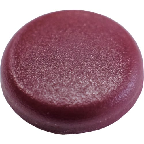 ダンドリビス ダンドリ Zキャップ Z825 あず