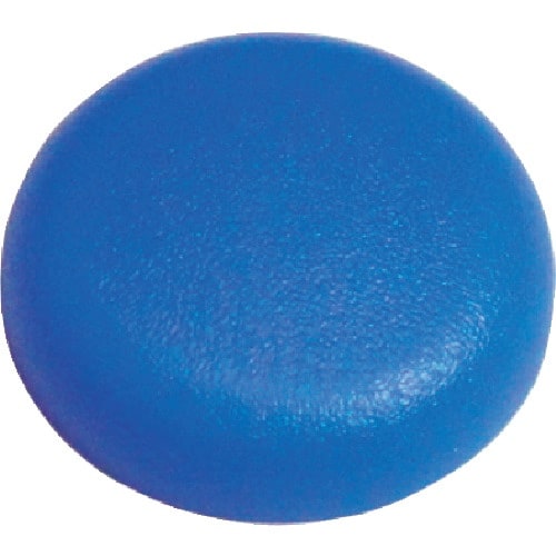 ダンドリビス ダンドリ Zキャップ Z845 ロイ