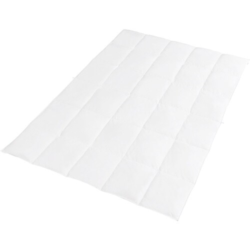 IRIS 100987 羽毛ふとん シングル