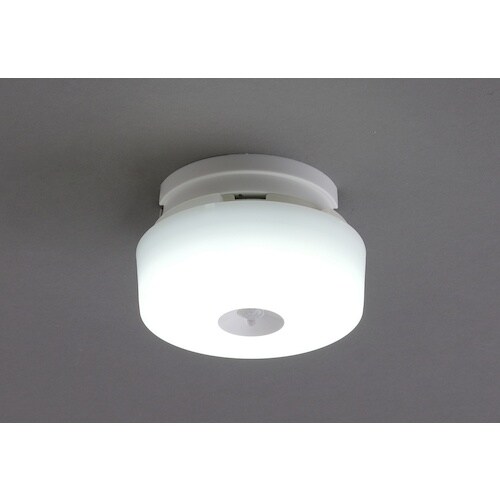 IRIS 249696 小型シーリングライト メタ