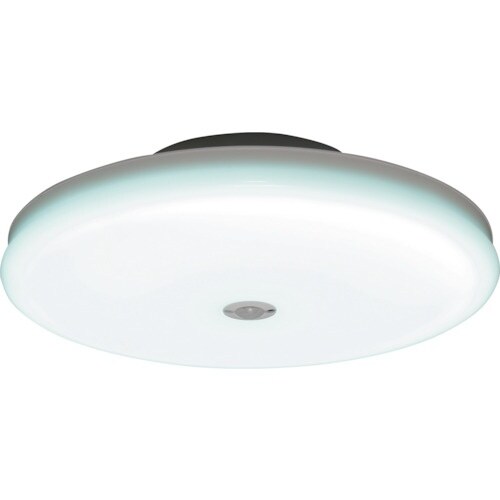 IRIS 572439 小型シーリングライト 薄形