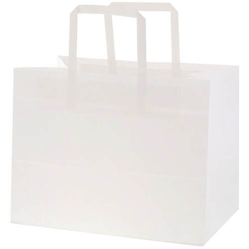 スワン 手提げ紙袋 Nフラットチャームバッグ 平手