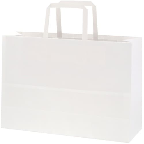 スワン 手提げ紙袋 Nフラットチャームバッグ 平手