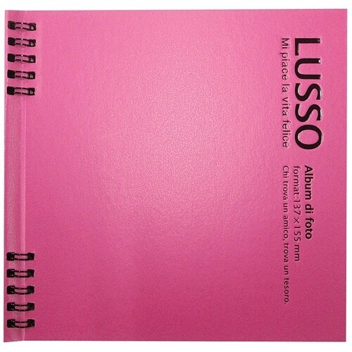 ナカバヤシ Wリングかけるーの台紙アルバムL1/ル