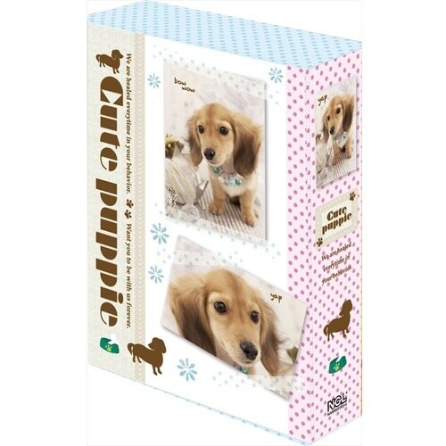 ナカバヤシ 3冊ポケットアルバム180キユ−ト パ