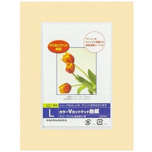 ナカバヤシ カラーVカット台紙L判/イエロー/V