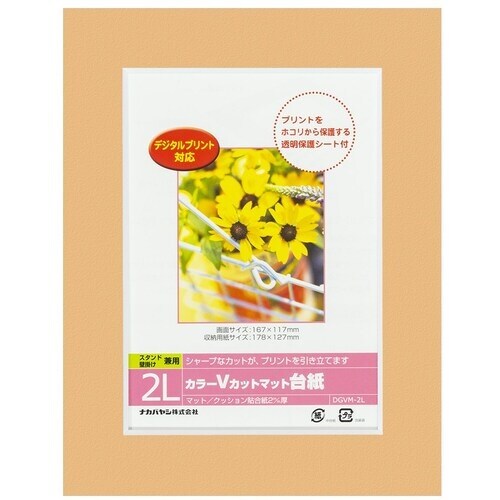 ナカバヤシ カラーVカット台紙2L判/オレンジ/V
