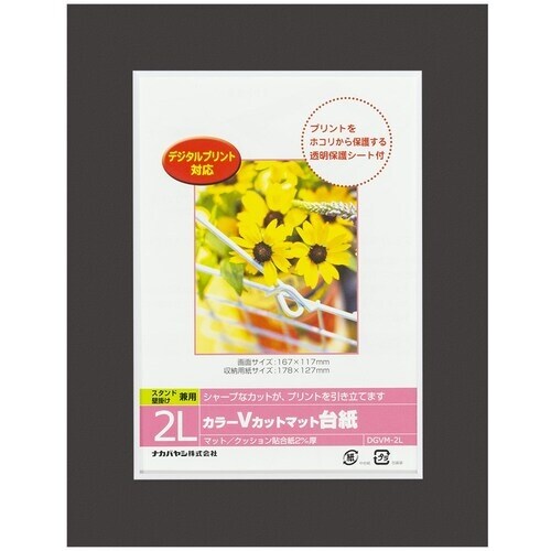 ナカバヤシ カラーVカット台紙2L判/ブラック/V