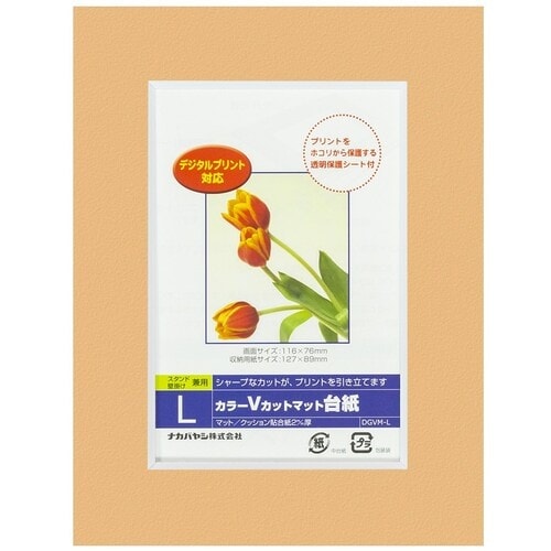 ナカバヤシ カラーVカット台紙L判/オレンジ/V