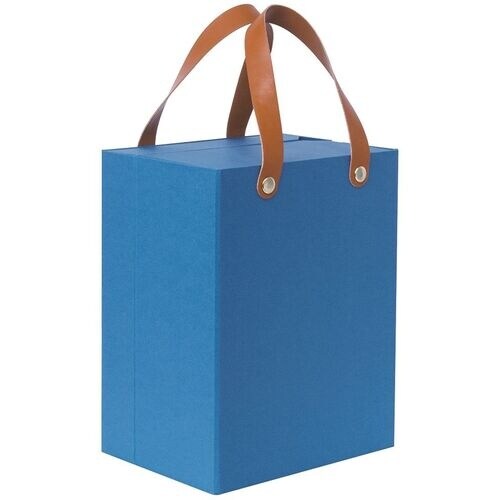 ナカバヤシ ライフスタイルツール 収納カバン ブル