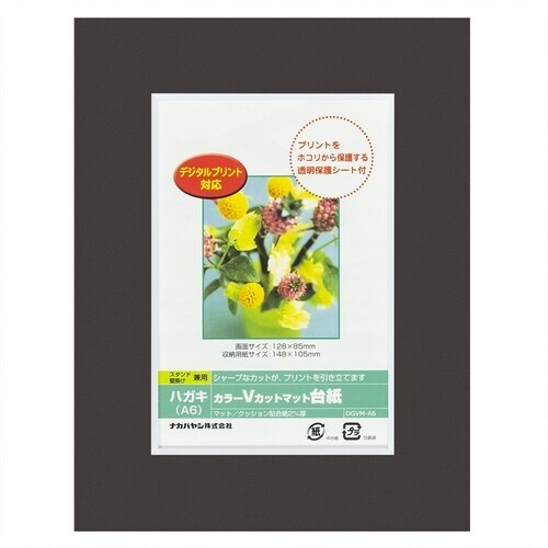 ナカバヤシ カラーVカット台紙A6判/ブラック/V
