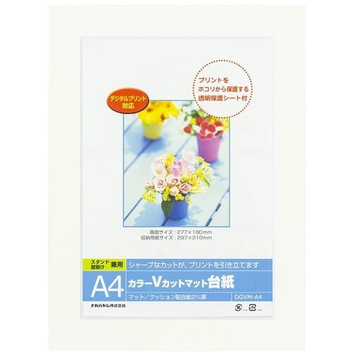 ナカバヤシ カラーVカット台紙A4判/ホワイト