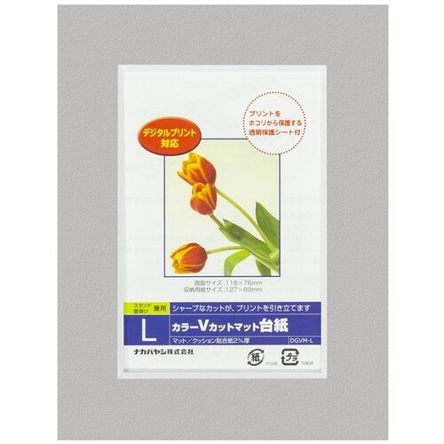 ナカバヤシ カラーVカット台紙L判/グレー/V