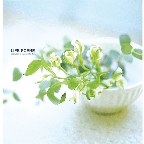 ナカバヤシ デジタルフリー10R/ライフシーン/ブ