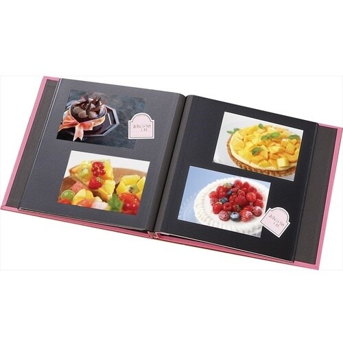 ナカバヤシ ドゥファビネ100年アルバム/ビス式/