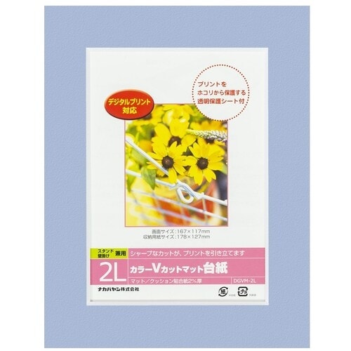 ナカバヤシ カラーVカット台紙2L判/ブルー/V
