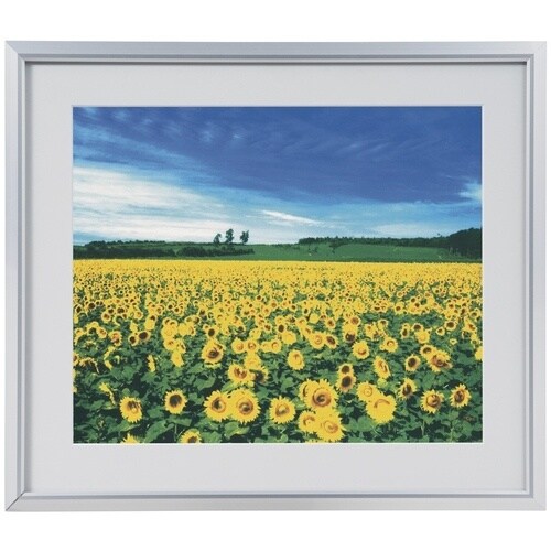 ナカバヤシ アルミ製軽量写真額/シルバー/四ツ切