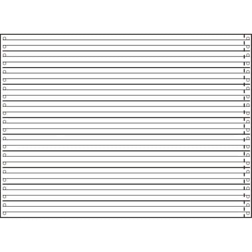 ナカバヤシ ストックフォ−ム 1513 2P NC