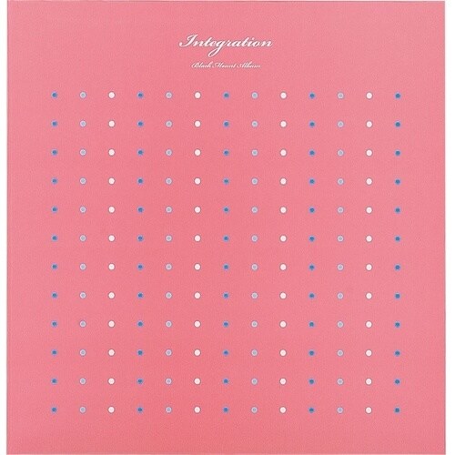 ナカバヤシ 100年台紙アルバムL10ビスインテグ