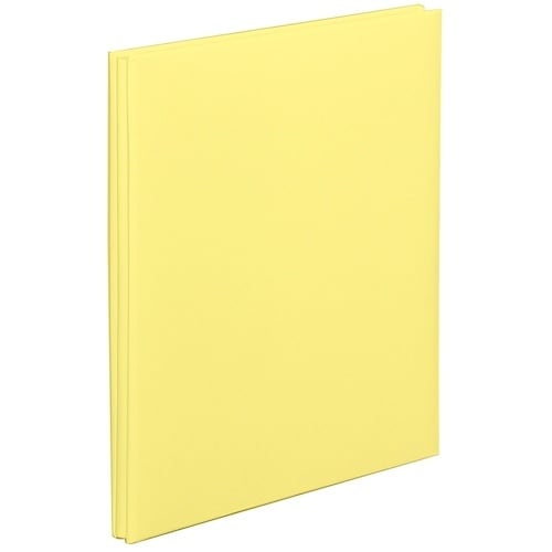 ナカバヤシ デジタルフリ−アルバム−A4サイズ−イ