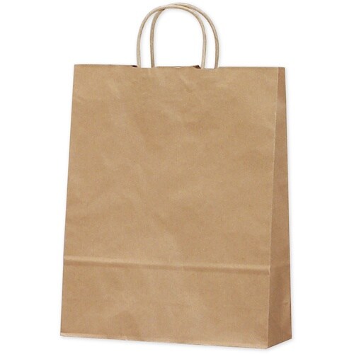 ササガワ 手提袋 未晒 10P