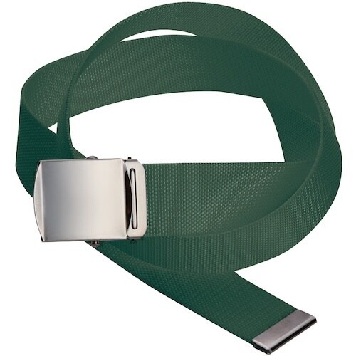 桑和 10055 ローラーベルト グリーン F