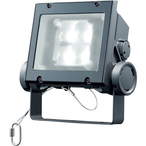 岩崎 LED投光器(40クラス、広角タイプ、昼白色