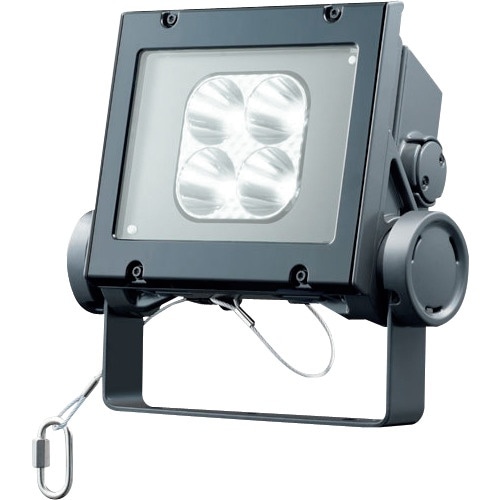 岩崎 LED投光器(40クラス、狭角タイプ、昼白色