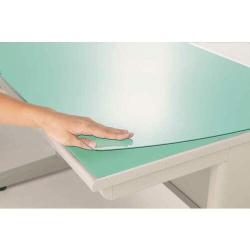 ライオン デスクマット#7