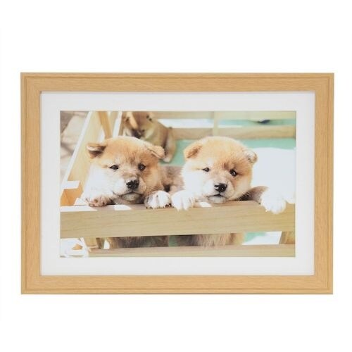 フジカラー 木製額縁 YM−9(木地) ワイド6切