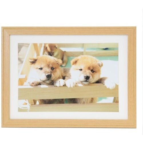 フジカラー 木製額縁 YM−9(木地) A4