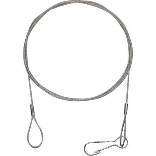 共成 落下防止ステンレスワイヤー線径1mm(2本セ