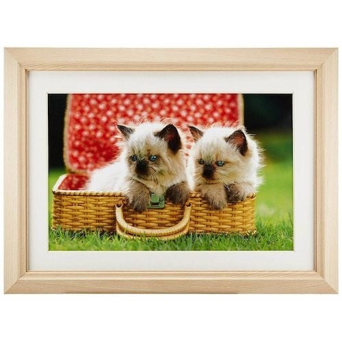 フジカラー 木製額縁 M12 アクリル ワイド6切