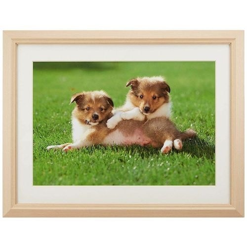 フジカラー 木製額縁 M12 アクリル ワイド4切