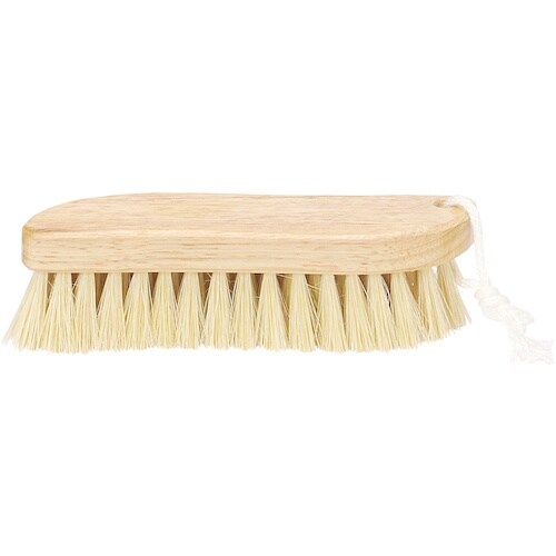 タカサゴ アレコレブラシパキン