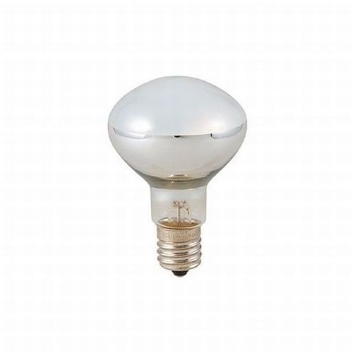 YAZAWA クリプトン球50W形 長寿命