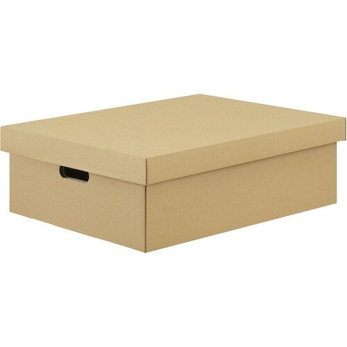 IRIS 106392 段ボール収納ケース2枚セッ