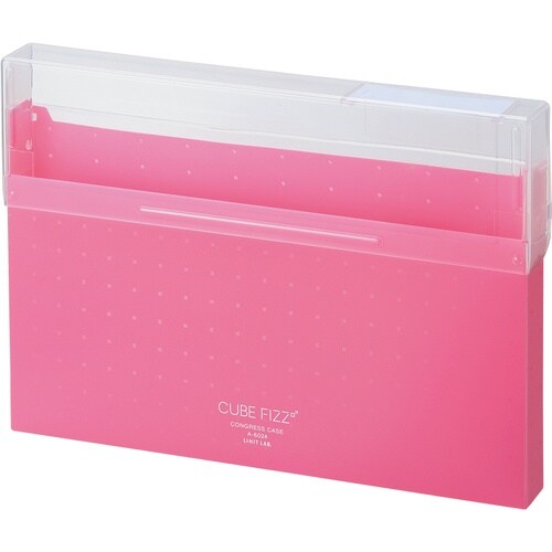 LIHIT コングレスケース A4 ピンク