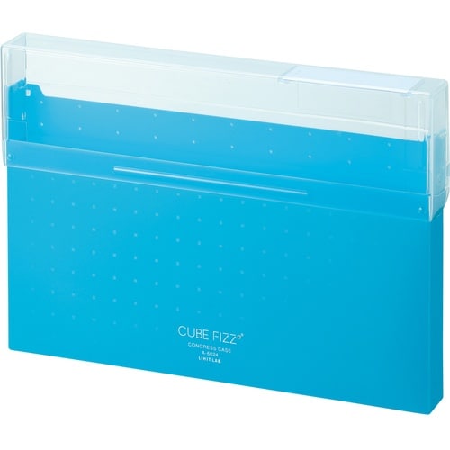 LIHIT コングレスケース A4 ブルー